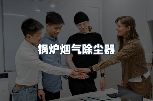 锅炉烟气除尘器